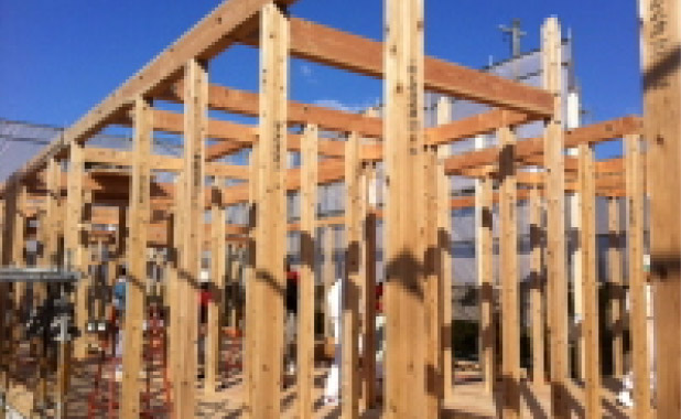 さやの木歯科の由来