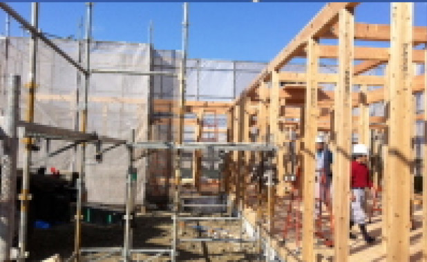 さやの木歯科の由来